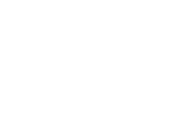 Logo Steve Madden